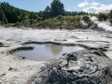 Hell gate mud pool